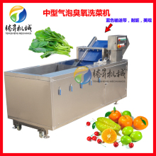 中型蔬菜清洗机，水果气泡清洗机，商用洗菜机厂家